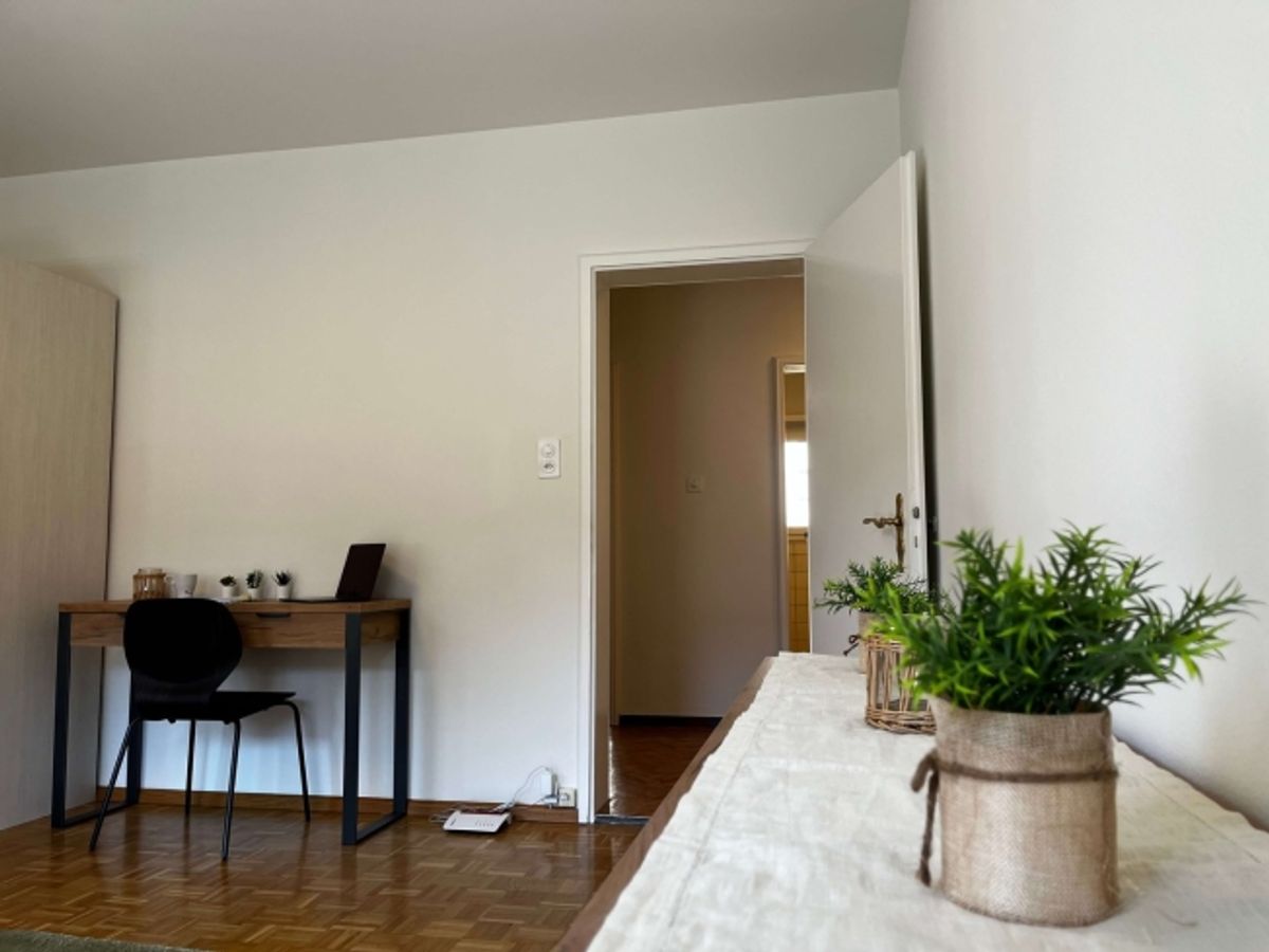 Discover Comfortable Coliving in Basel - 3
