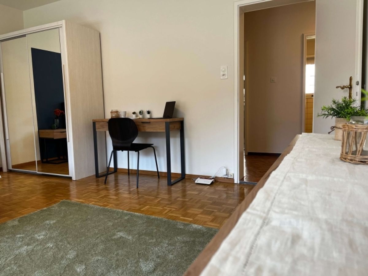Discover Comfortable Coliving in Basel - 4