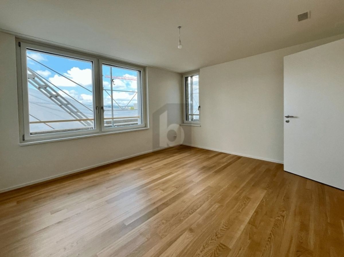 ERSTBEZUG GROSSER BALKON, SICHT AUF DEN ÜETLIBERG - 3