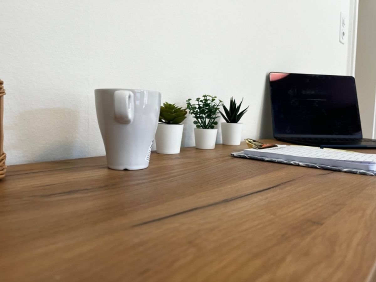 Discover Comfortable Coliving in Basel - 9