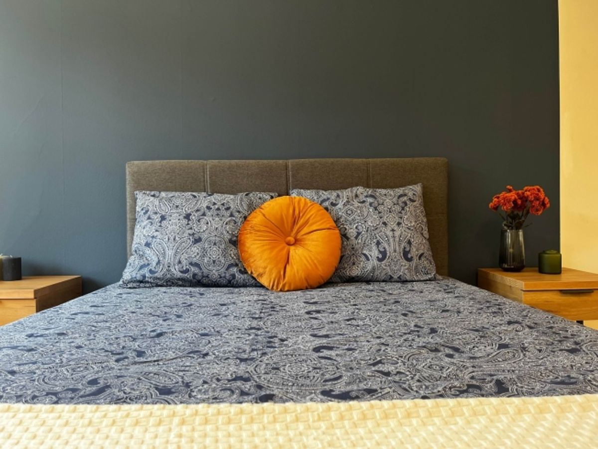 Discover Comfortable Coliving in Basel - 11