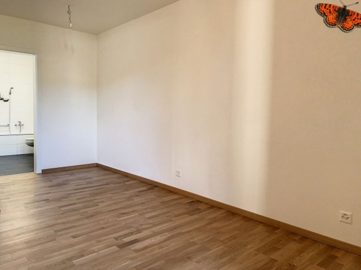 3½ ZIMMER – Ruhig! - 6