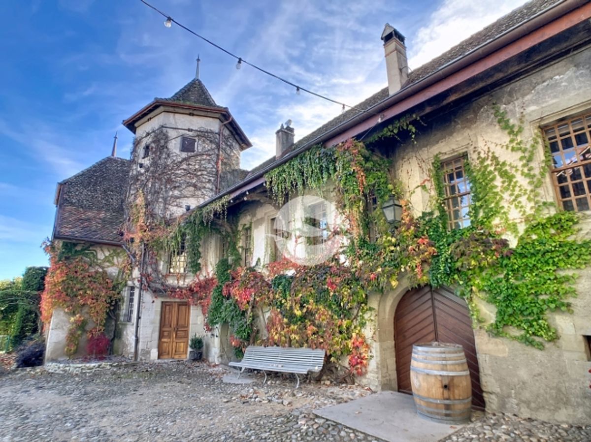 6,5-Zimmer-Duplex mit grossem Garten - 11