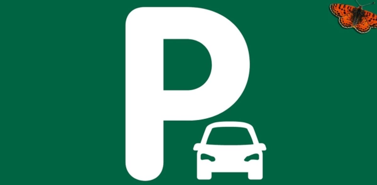 AUSSENPARKPLÄTZE ZU MIETE – Le Pâquier - 0
