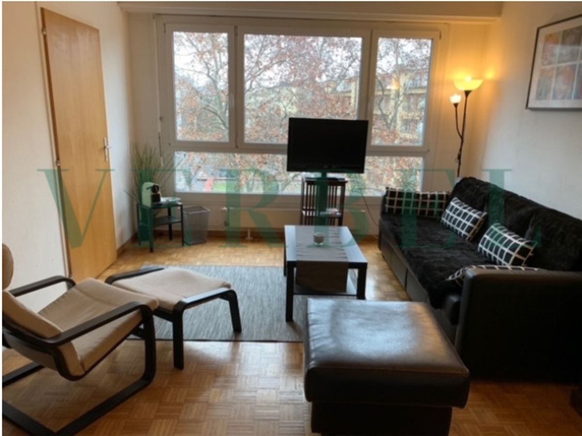 Zu vermieten – Möblierte 1,5-Zimmer-Studio-Wohnung in Genf - 2