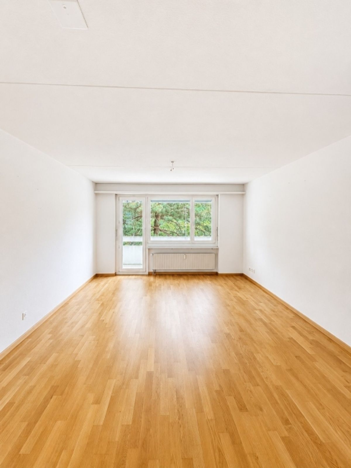 Helle 3-Zimmer-Wohnung in Zürich Seebach  befristet bis (31.01.2027) - 1