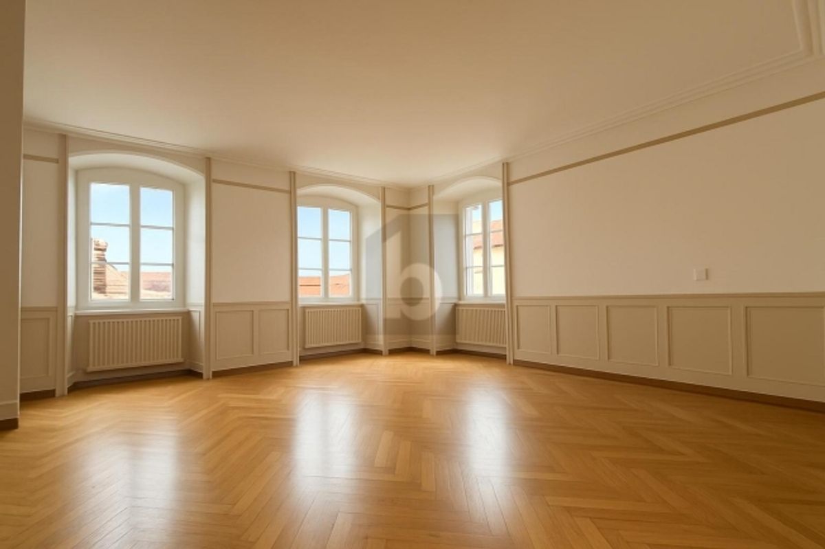 SPACIEUX ET LUMINEUX - 1