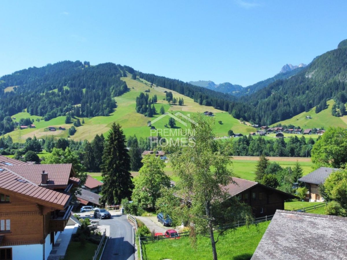 Timeless Treasure on Saanen's Terrace - 10