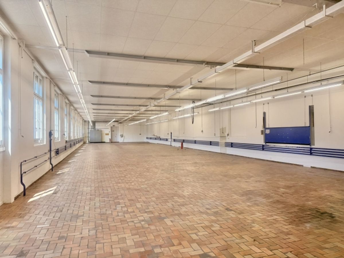 710 m² Gewerbe / Produktion mit Lagerfläche an exzellenter Lage - 2