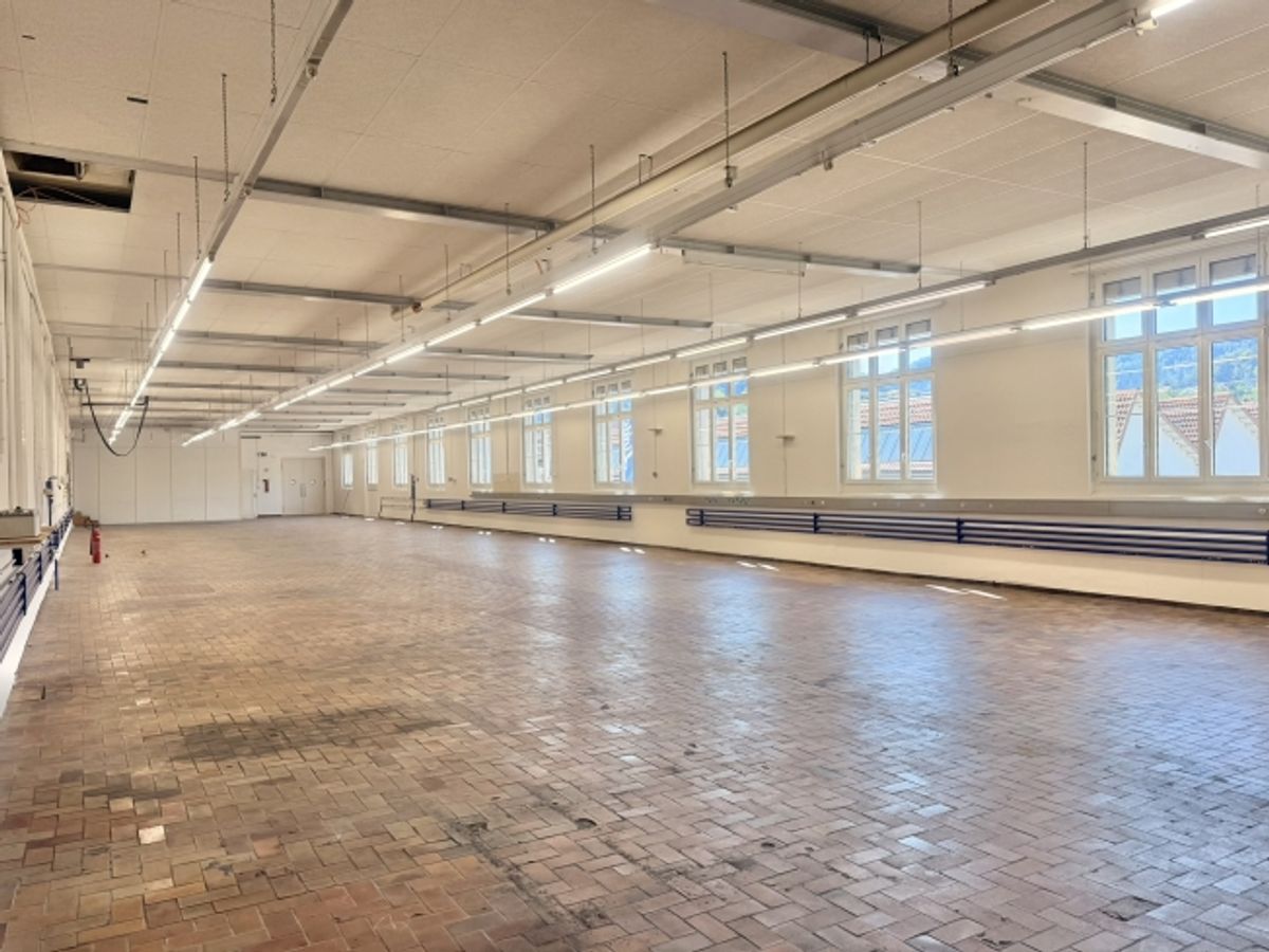 710 m² Gewerbe / Produktion mit Lagerfläche an exzellenter Lage - 4
