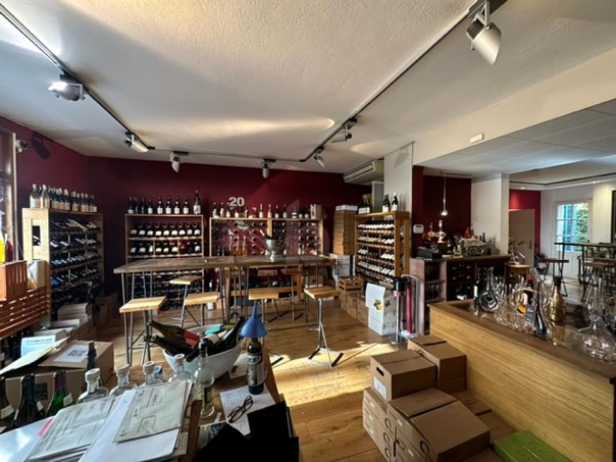 CAVE À VIN PRESTIGIEUX, QUARTIER CHARMANT, CAROUGE - 1