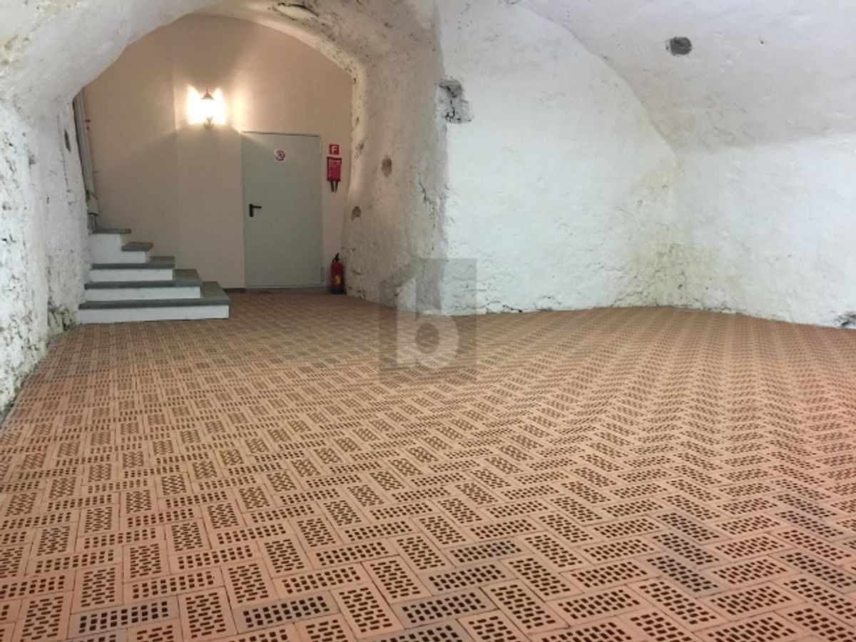 REPRÄSENTATIVE FLÄCHE - HISTORISCHER CHARME - 1