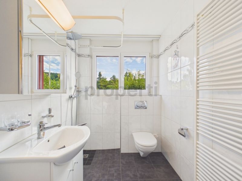 Exklusives Wohnung in bester Mikrolage  nur 30 Min. nach Zürich HB - 11