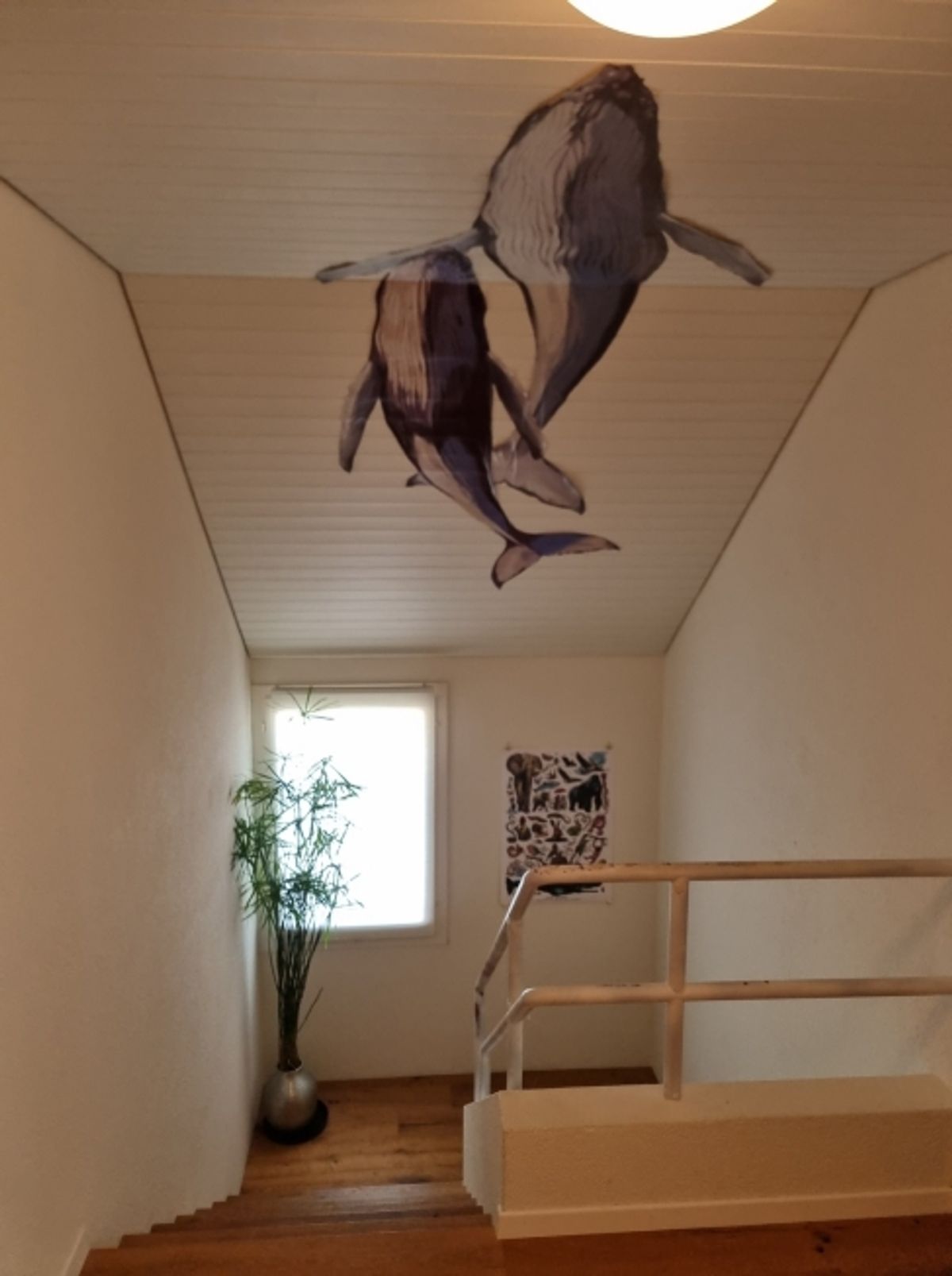 5½ ZIMMER-HAUS IN OBERNAU (LU), MÖBLIERT, TEMPORÄR - 3