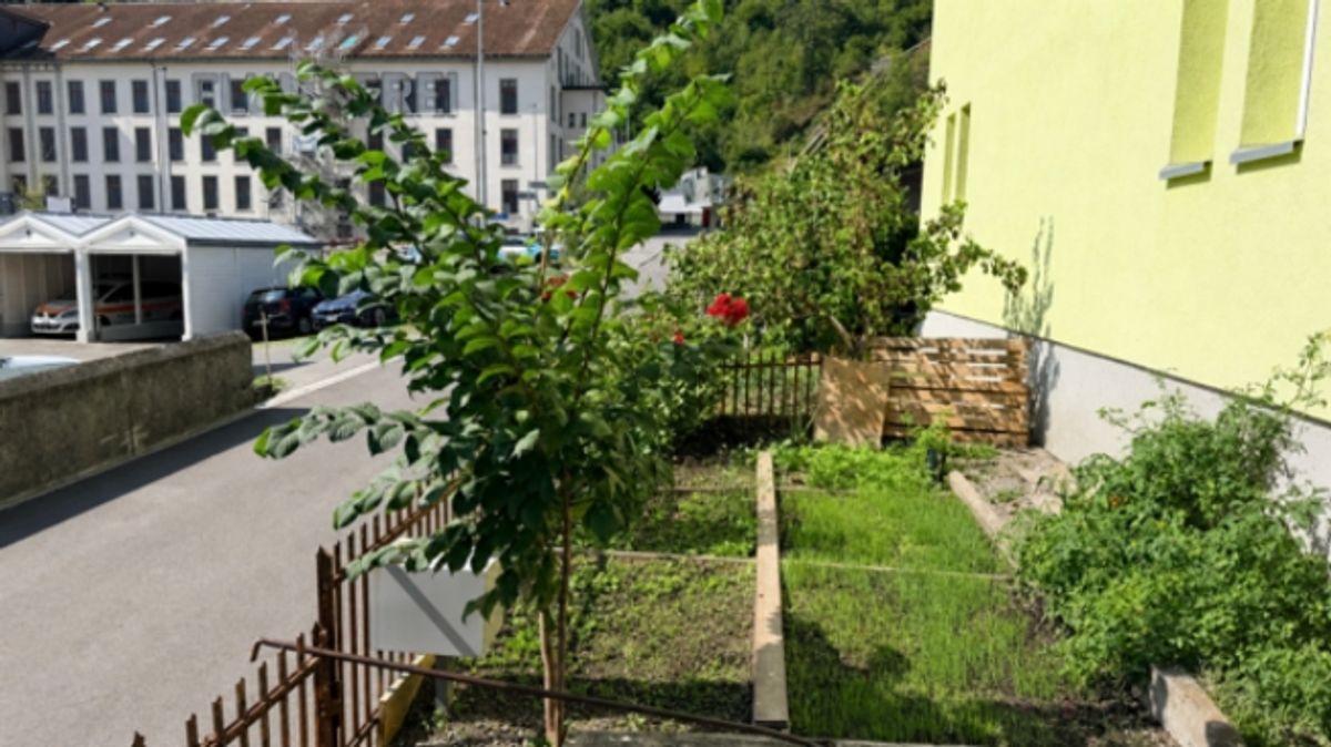 ZWEI 4.5-ZIMMER-HAUSHÄLFTEN - WOHNEN & VERMIETEN IN FLUMS - 3