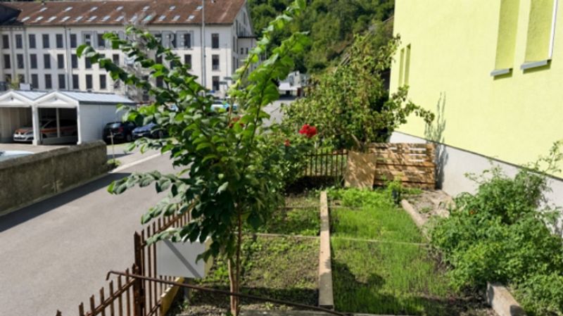 ZWEI 4.5-ZIMMER-HAUSHÄLFTEN - WOHNEN & VERMIETEN IN FLUMS - 4