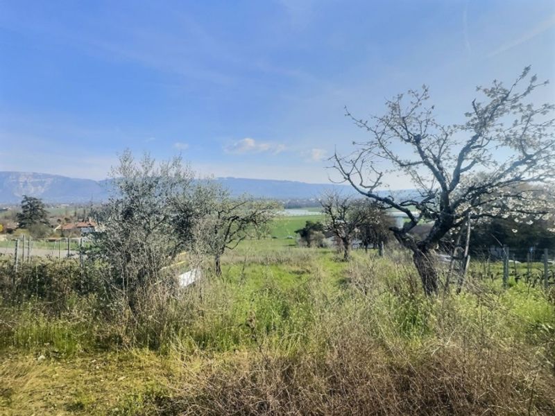 Cabanon de jardin aménagé  avec terrain pour amoureux de la nature - 3