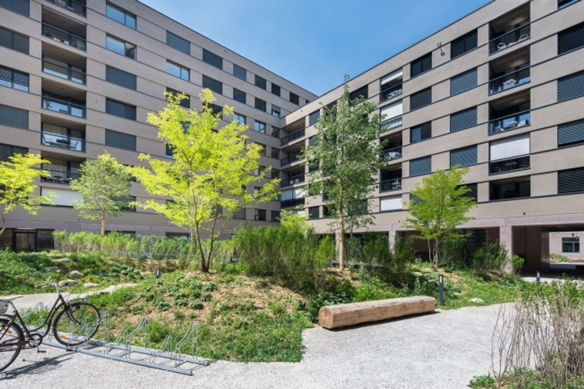 Alles, was es zum leben braucht - Urbanes Zentrum - 0