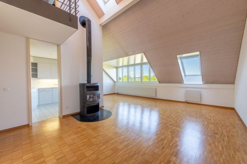 Duplex-Highlight mit Waschturm, Réduit & Cheminée - 3