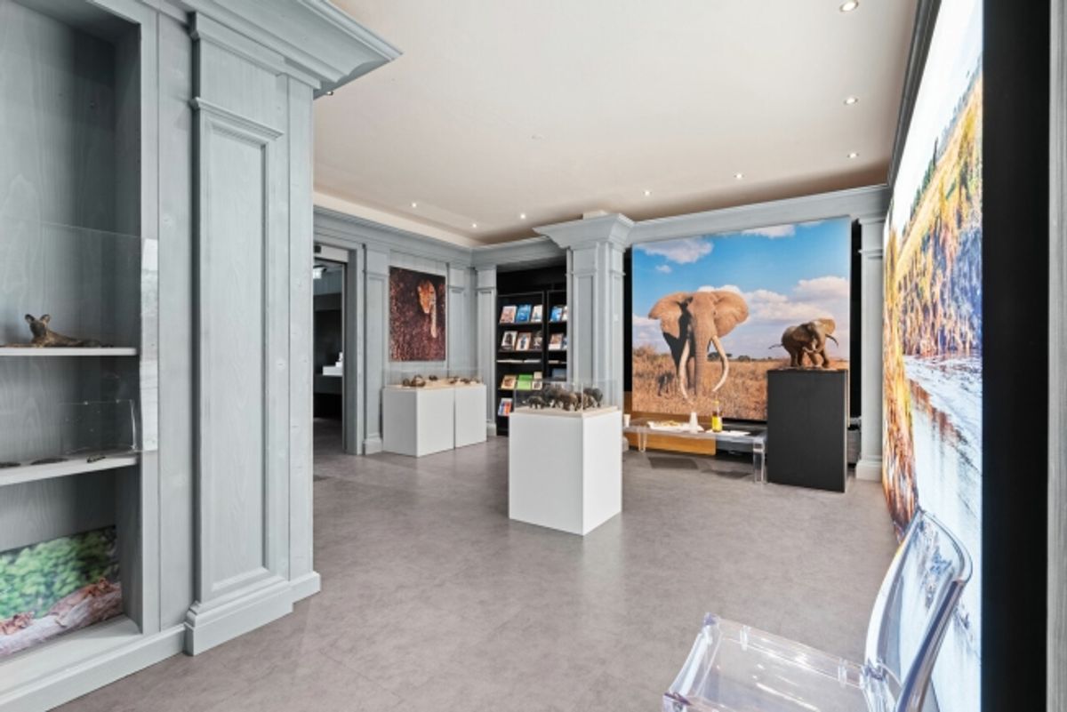 Geschäftslokal 430m2 Einkaufsstrasse - 0