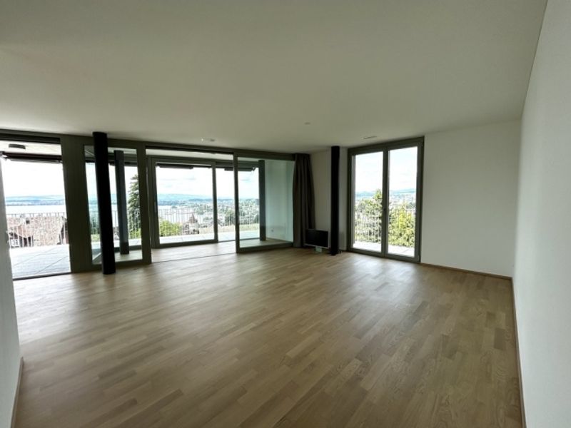 Wohnen mit Aussicht am Zugerberg - 3