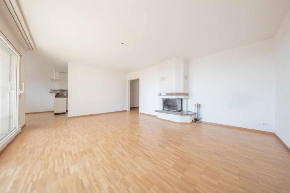 A saisir ! Magnifique appartement avec vue sur le lac ! - 3