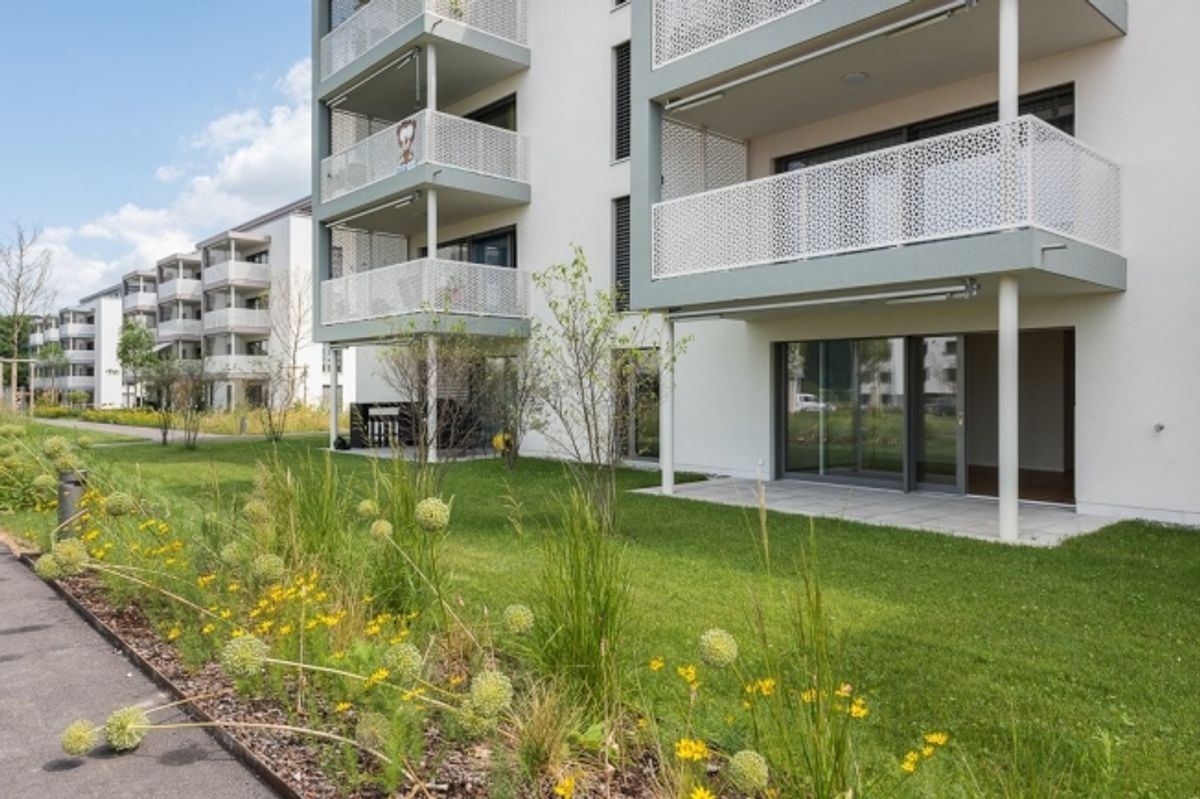 Traumwohnung sucht Bewohner - 0