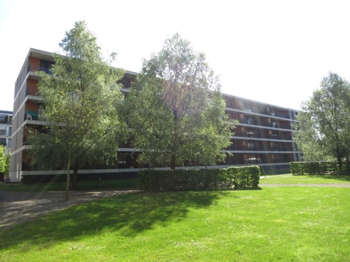 Im Herzen von Biel mit grossem Balkon - 0
