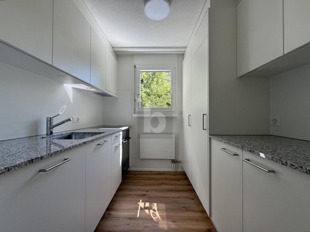 FRISCH RENOVIERT MIT GROSSEM BALKON - 0