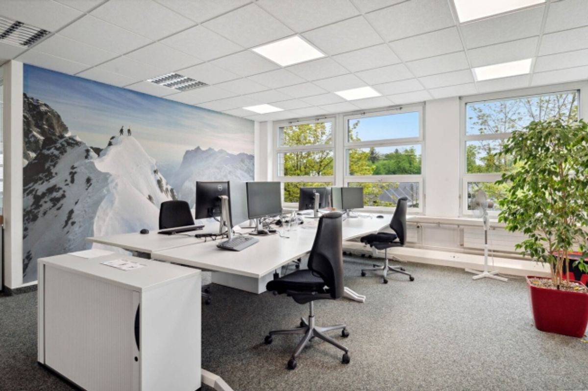 Mammut Areal Seon - Gewerbeliegenschaft für Industrie, Logistik & Büro - 1