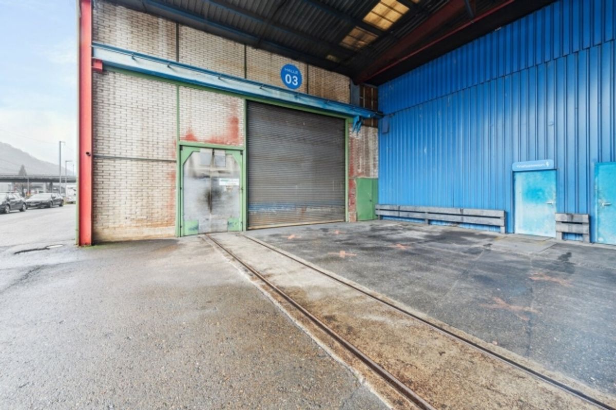 Grosszügige Industriehalle mit vielseitigen Nutzungsmöglichkeiten - 1