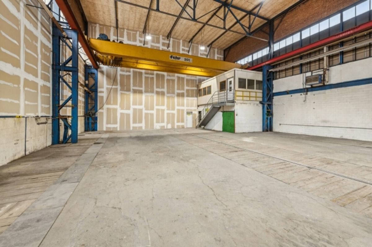 Grosszügige Industriehalle mit vielseitigen Nutzungsmöglichkeiten - 2