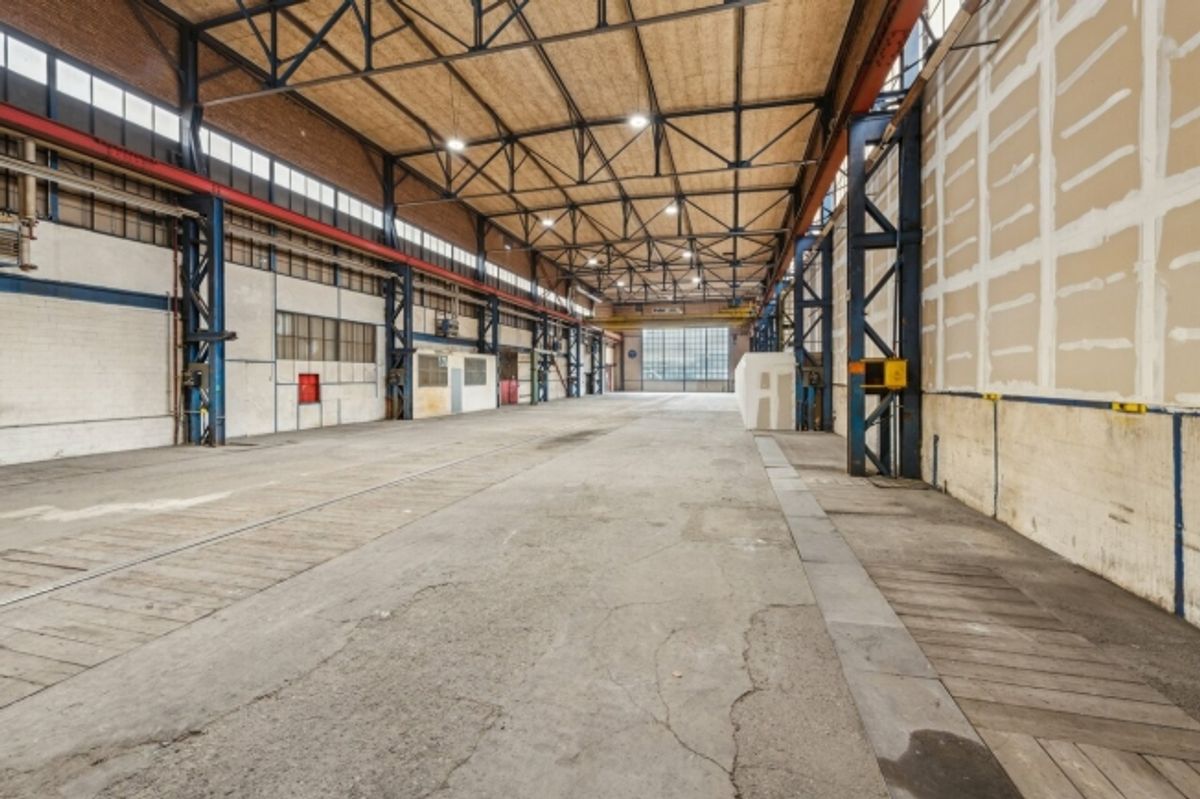Grosszügige Industriehalle mit vielseitigen Nutzungsmöglichkeiten - 3
