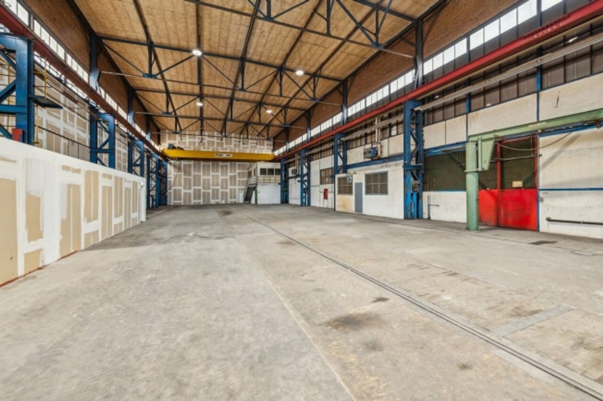 Grosszügige Industriehalle mit vielseitigen Nutzungsmöglichkeiten - 4