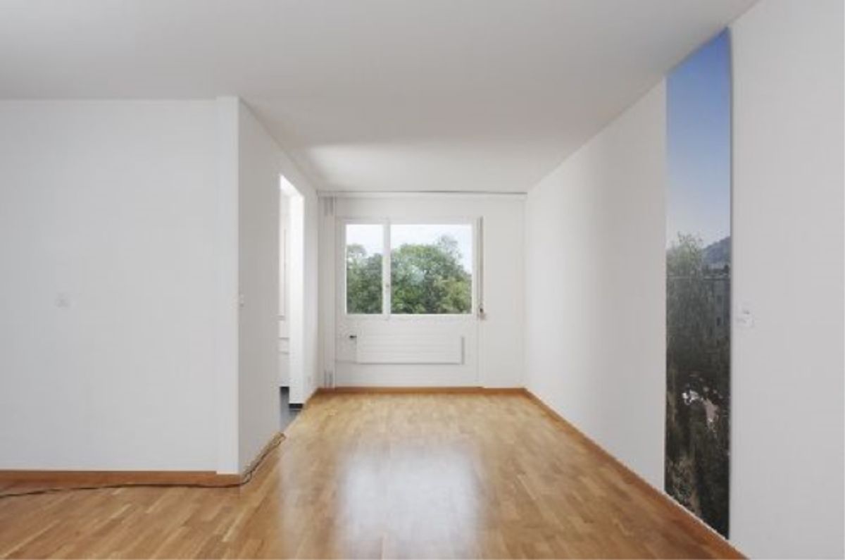 Attika-Wohnung am Greifensee - 2