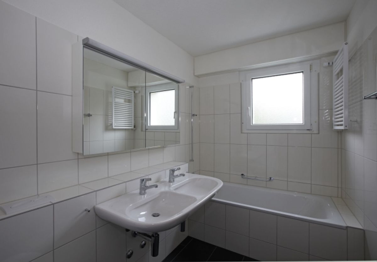 Attika-Wohnung am Greifensee - 4