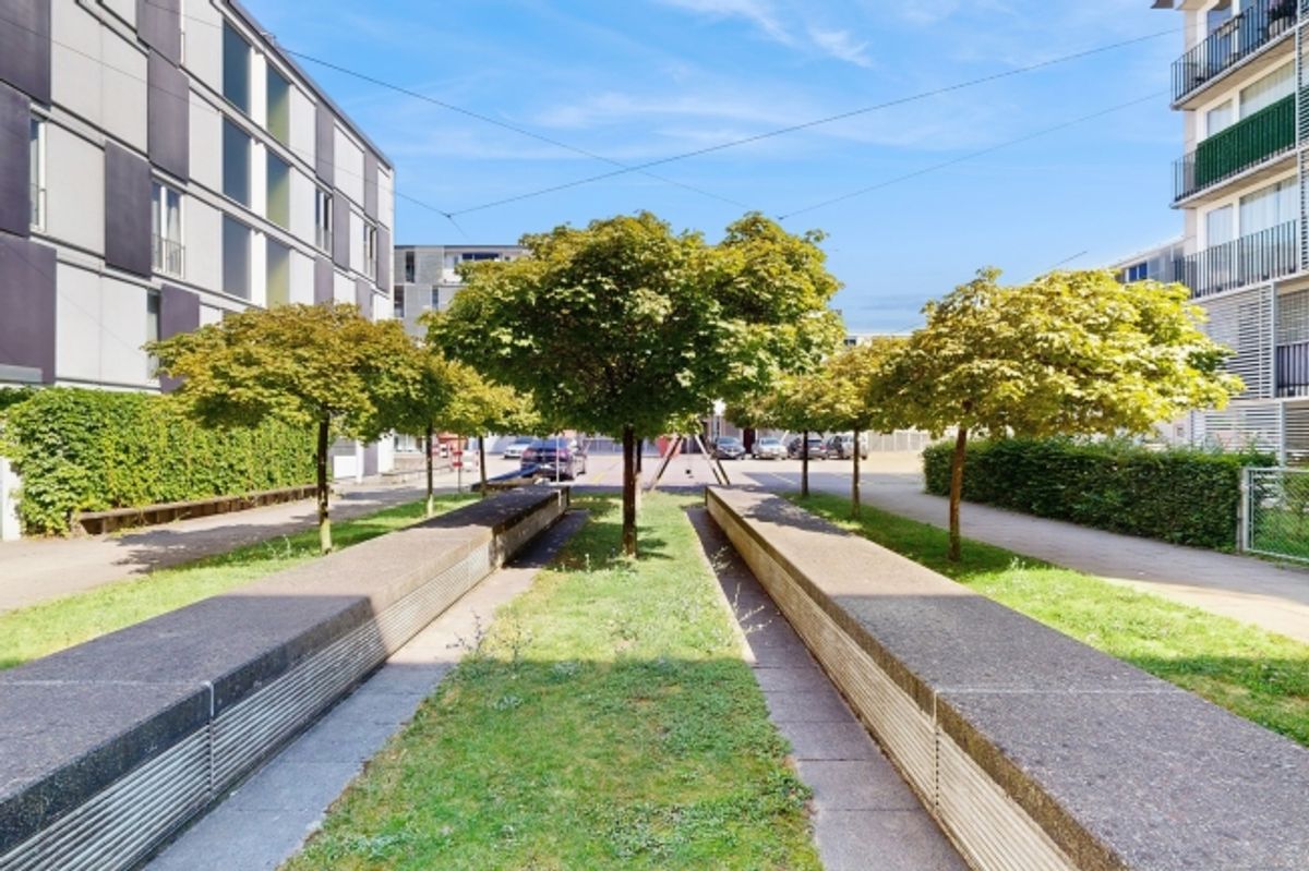 Moderne 2.5-Zimmer-Wohnung mit Mietgarten und Holzterrasse in Zürich-Schwamendingen - 0