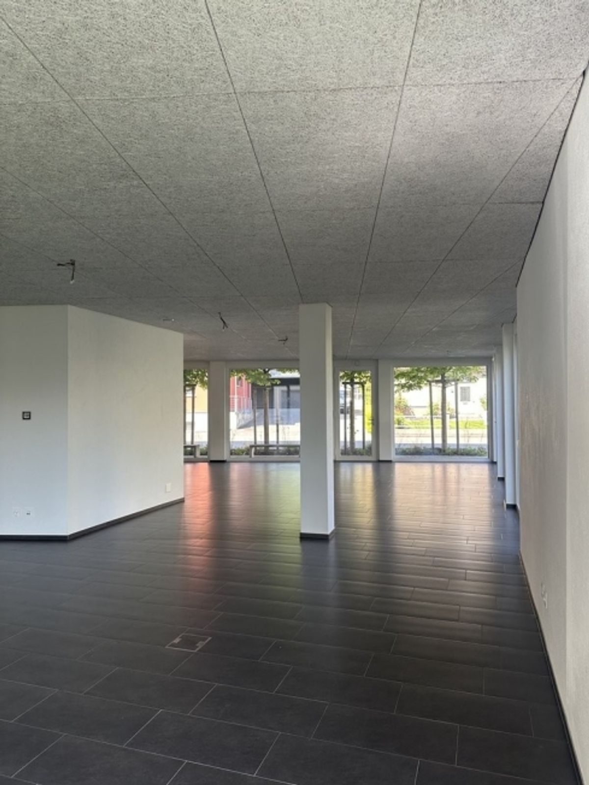 Moderne Gewerbefläche an bester Lage in Heerbrugg - 2