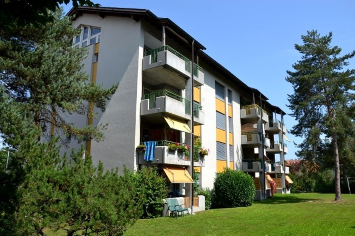 5 ½ Zimmer-Wohnung in Aarberg mieten - 0