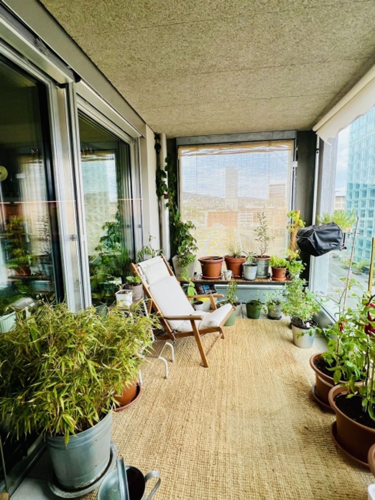 2½ ZI-WOHNUNG IN ZÜRICH - KREIS 5, MÖBLIERT, TEMPORÄR - 1