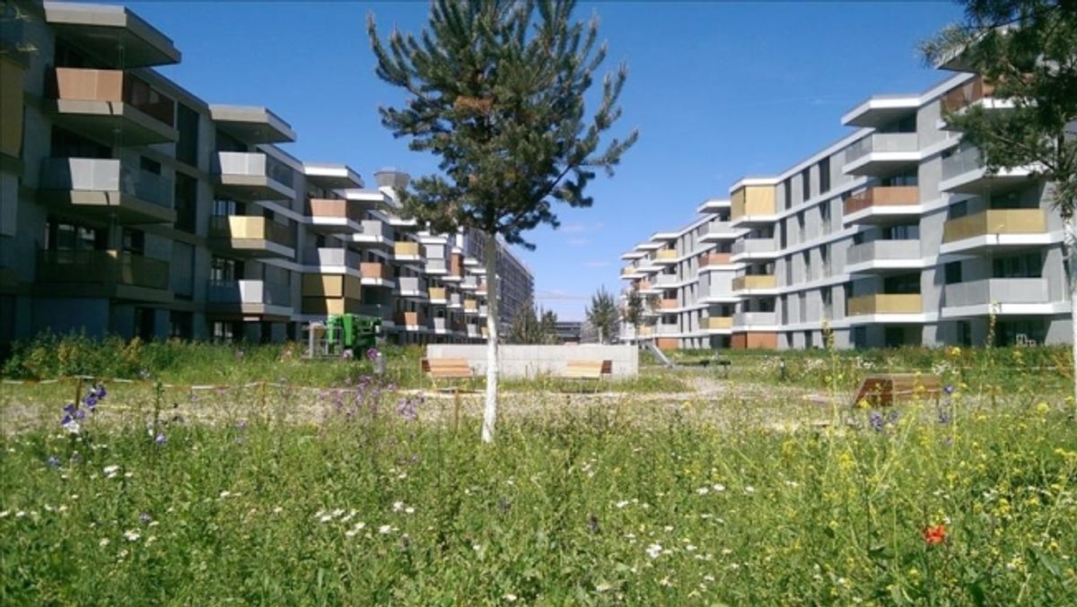 Schöne 3.5 Zimmer-Neubauwohnung zu vermieten - 0