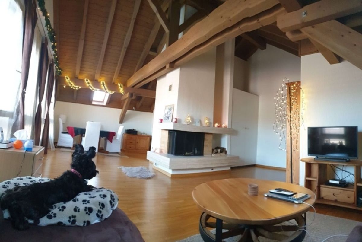 Wohnung sucht Single - 1