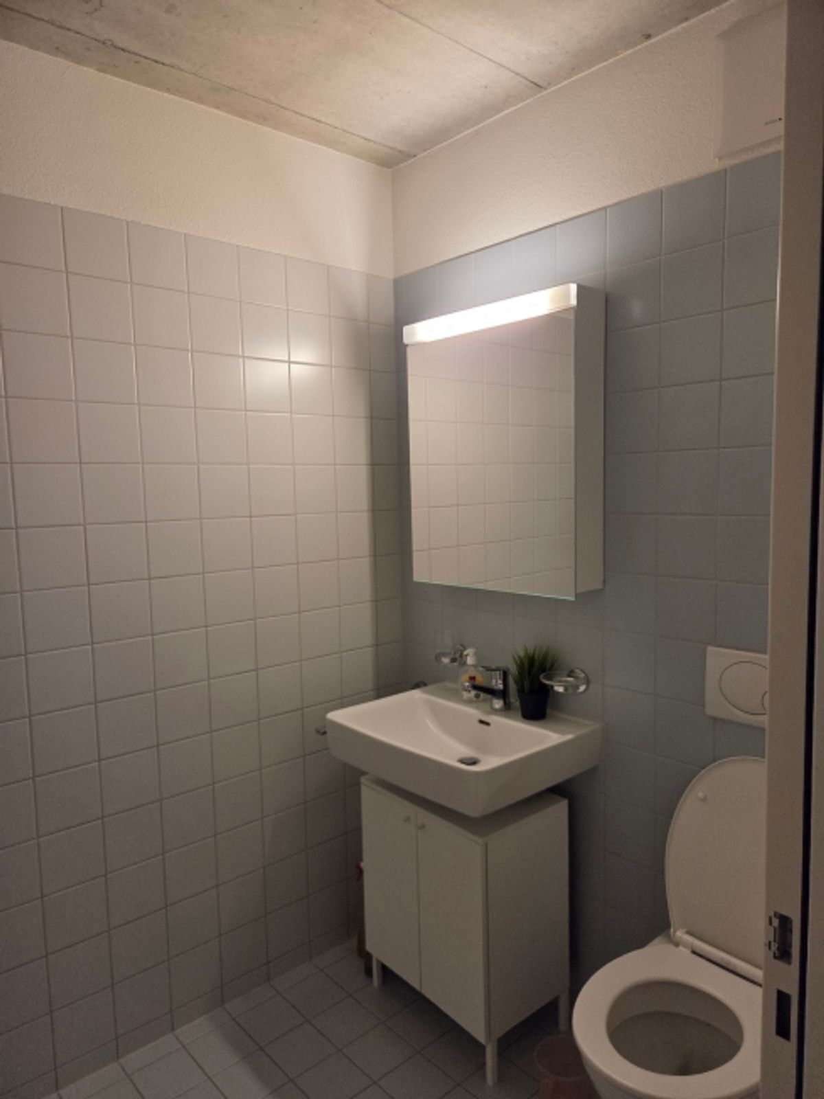 3½ ZI-WOHNUNG IN SCHLIEREN (ZH), MÖBLIERT, TEMPORÄR - 9