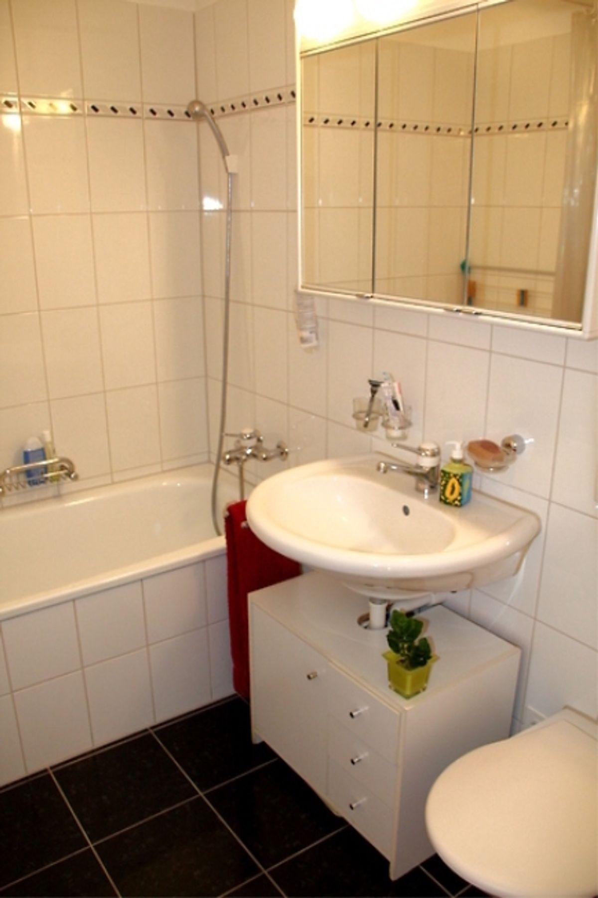 3½ ZI-WOHNUNG IN KLOTEN (ZH), MÖBLIERT, TEMPORÄR - 5