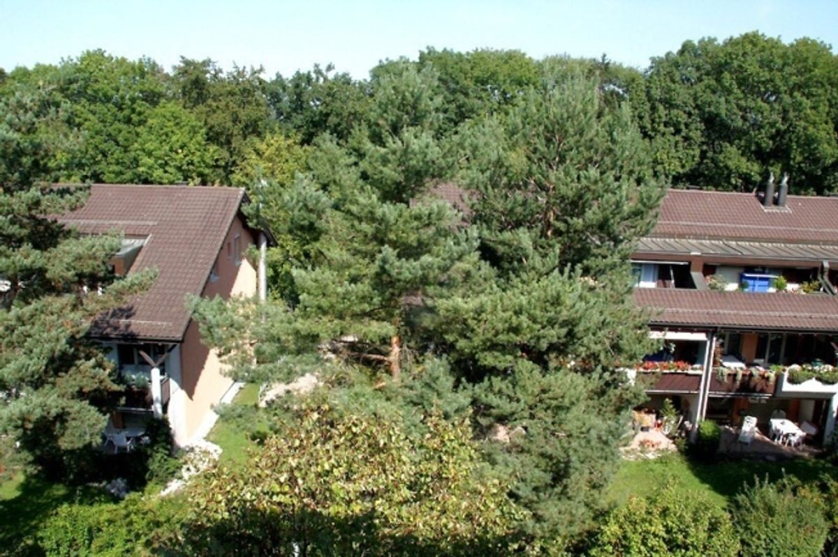 3½ ZI-WOHNUNG IN KLOTEN (ZH), MÖBLIERT, TEMPORÄR - 9