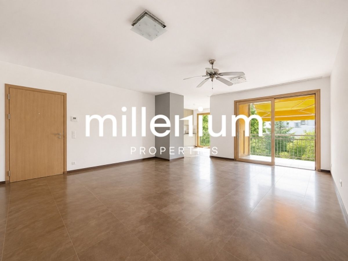 Wunderschöne Familienwohnung in Petit-Lancy - 1