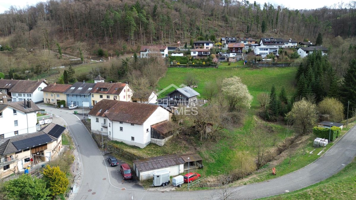 Grosses Bauland mit Entwicklungspotenzial - 3