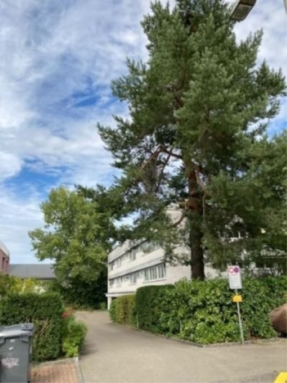 Schwamendingen Einstellplatz zu vermieten - 0
