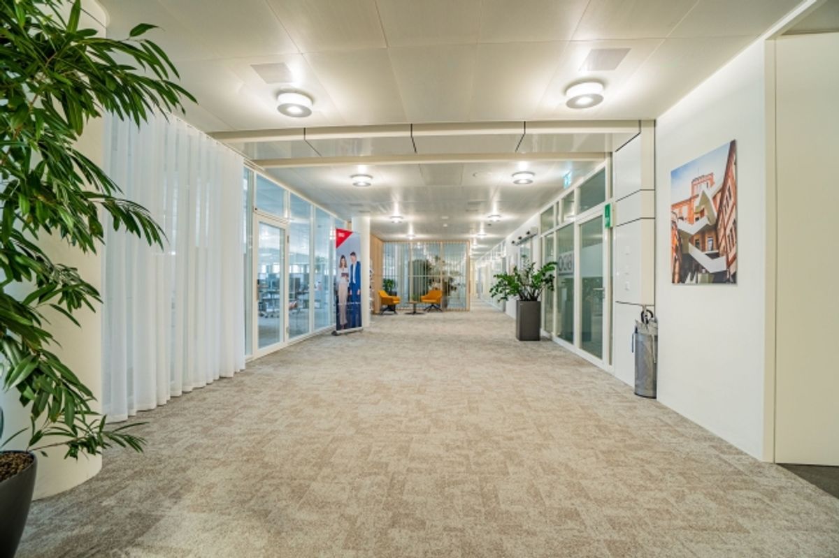 Helles Büro im White Plaza mit Aussenflächen in Basel mieten - 4