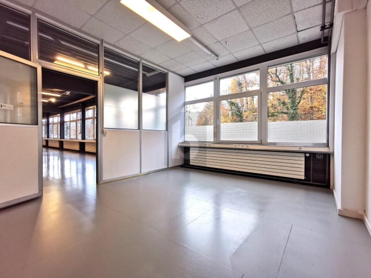 MULTIFUNKTIONSRAUM - BÜRO / LAGER / PRODUKTION - 3
